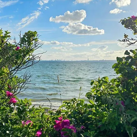 8451-knebel-fyrrevej-9 * Knebel